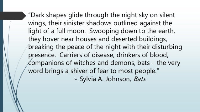 descriptive essay night sky
